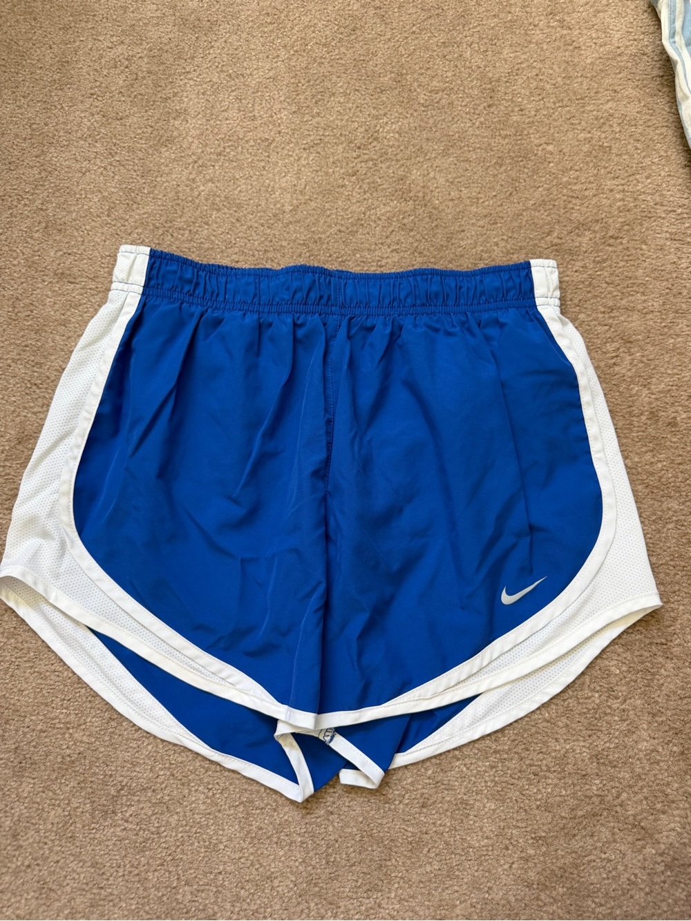 Nike Women’s Royal Blue and White Athletic Shorts